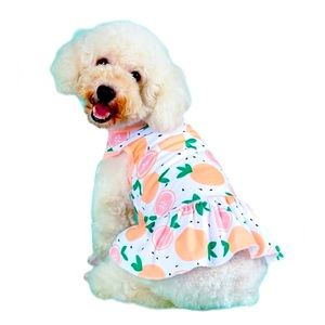 NWT-Citrus Print Dog Dress For Small Doggies-Size Medium